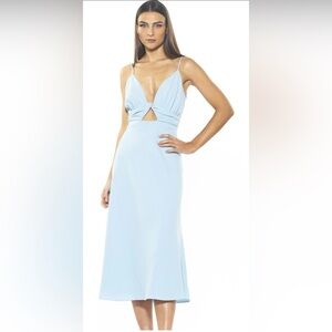 Alexia Admor Camila A-Line Dress